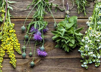 Hierbas Naturales para la Depresión