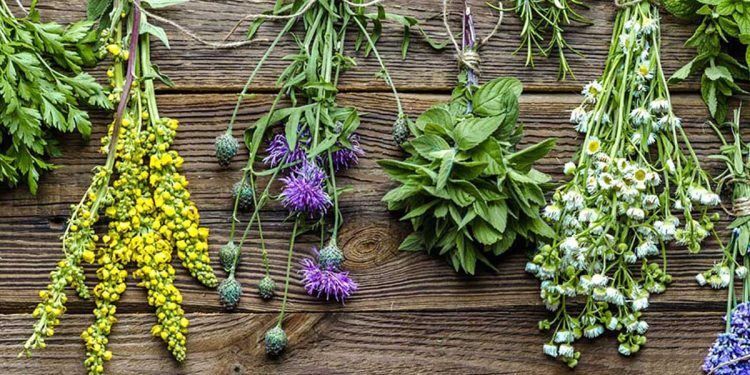 Hierbas Naturales para la Depresión