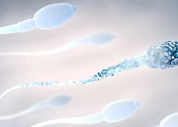 ¿Cómo se cura la infertilidad masculina?