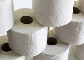 ¿Cuál es el mejor rollo de papel higiénico?
