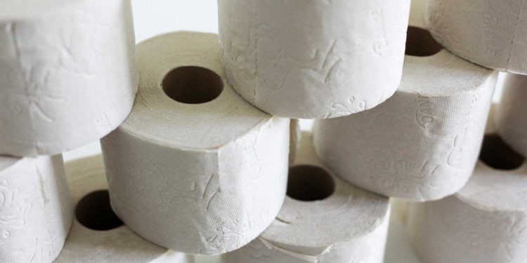 ¿Cuál es el mejor rollo de papel higiénico?