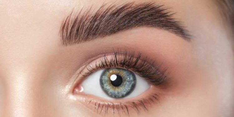 ¿Cuál es el tipo de ceja más atractivo?