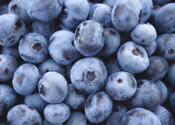 ¿Cuál es la fruta más saludable del mundo?