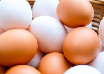 ¿Cuál es la mejor forma de comer huevo para ganar masa muscular?