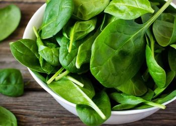 ¿Cuál es la verdura que tiene más proteínas?