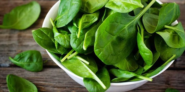 ¿Cuál es la verdura que tiene más proteínas?