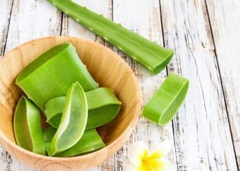 ¿Por qué el aloe vera me pica en la cara?