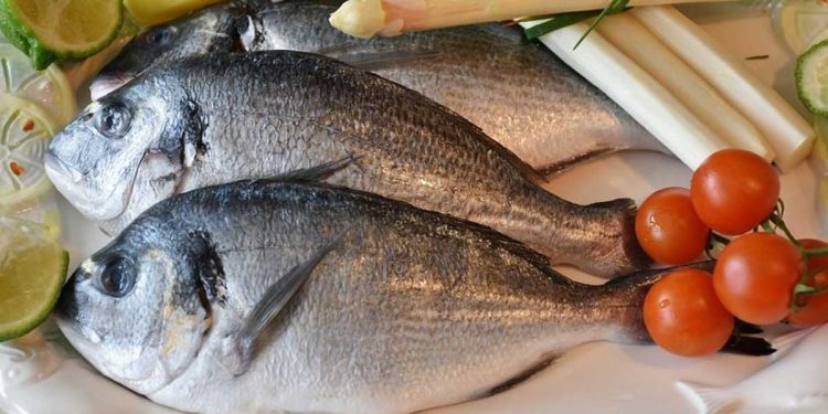 ¿Qué alimentos son ricos en colágeno?