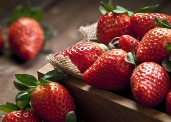 ¿Qué frutas se deben consumir diariamente?