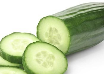 ¿Qué proteínas tiene el pepino?