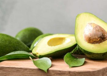 ¿Qué proteínas tiene la palta?