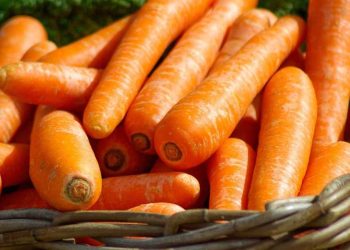 ¿Qué verduras son buenas para aumentar masa muscular?