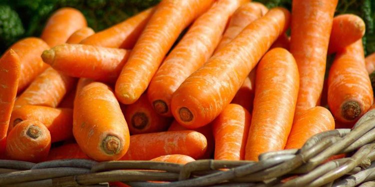 ¿Qué verduras son buenas para aumentar masa muscular?