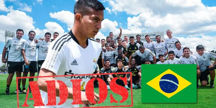 Adiós Távara, se confirmó el refuerzo que tendrá Sporting Cristal y viene desde Brasil