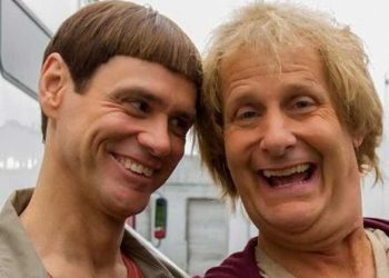 ¿Cómo identificar a una persona estúpida?