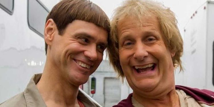 ¿Cómo identificar a una persona estúpida?