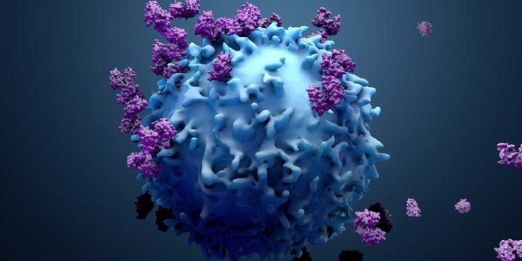 ¿Cuánto tiempo se desarrolla el cáncer?