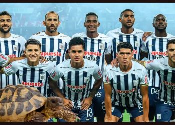 Llegó como figura a Alianza Lima, pero es más lento que una tortuga
