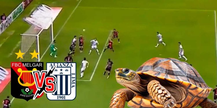 Parece que corre para atrás, ante Melgar fue el peor y nadie sabe como llegó a Alianza Lima
