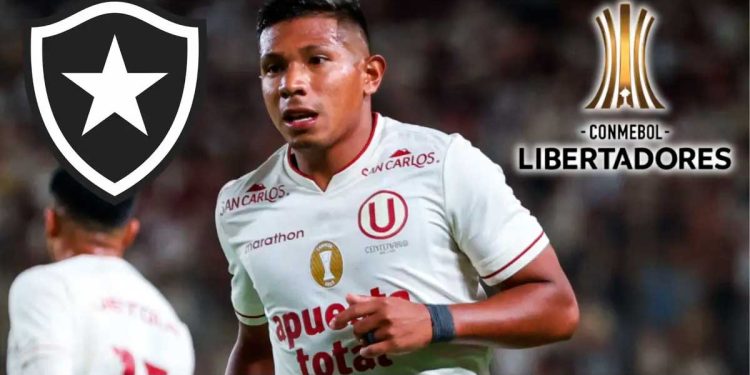 Todavía no juegan, pero el Botafogo muestra su temor ante Universitario en copa