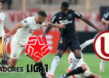 En la Liga 1 se pasean y parecen cracks, pero la Libertadores les ha quedado grande