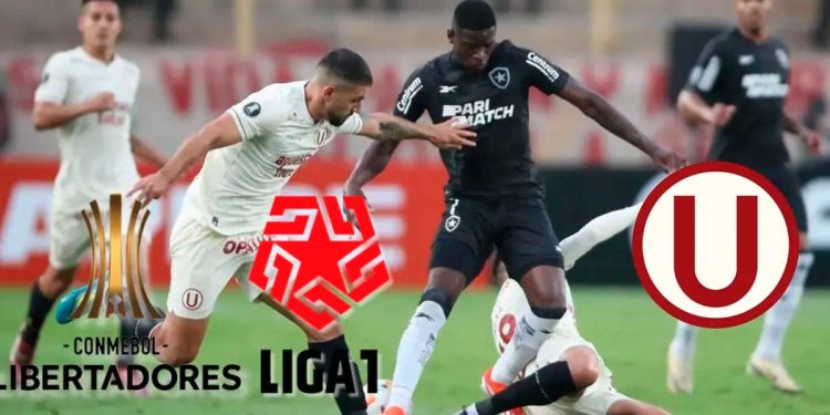 En la Liga 1 se pasean y parecen cracks, pero la Libertadores les ha quedado grande