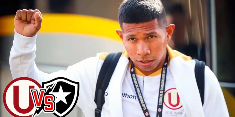 Perdieron contra Botafogo, pero Flores y lo que destaca de sus compañeros