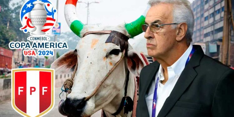 Basta Fossati, las vacas sagradas que deben dejar Perú en esta Copa América 2024
