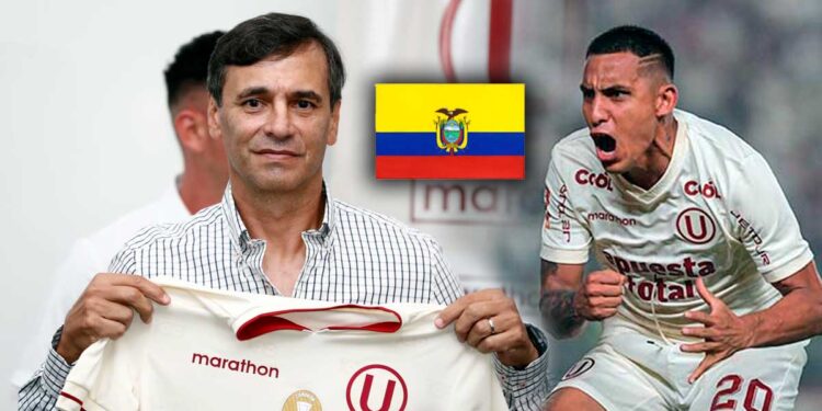 Fabián Bustos pidió a delantero de la selección de Ecuador para Universitario en 2025