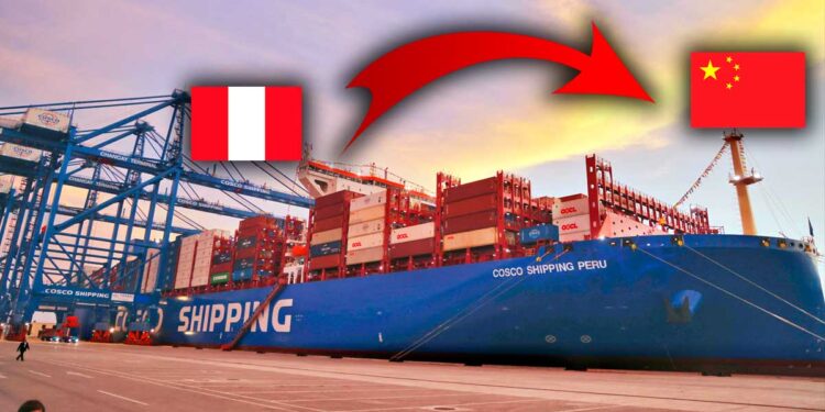 Perú exporta arándanos por primera vez desde el Megapuerto de Chancay con destino a China